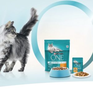 Gratis Katzenfutter